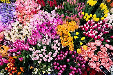 《光环：无限》艺术总监离开343工作室 曾在职长达14年